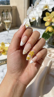 Golden Petal Whisper